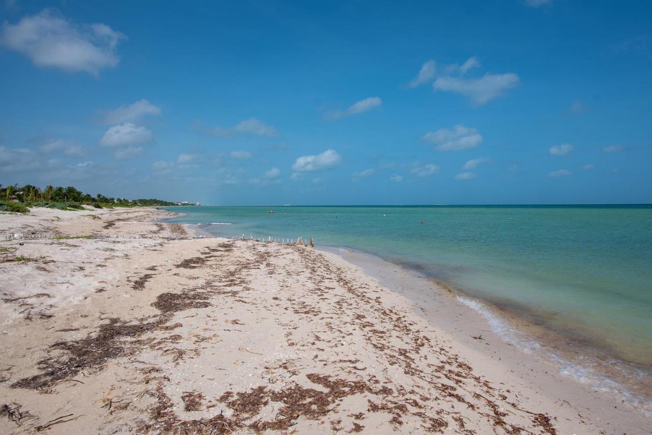 97982 New Modern Villa, Private Pool, High Internet Speed, 2 Blocks From The Beach Pueblo Pueblo Chicxulub Exterior photo